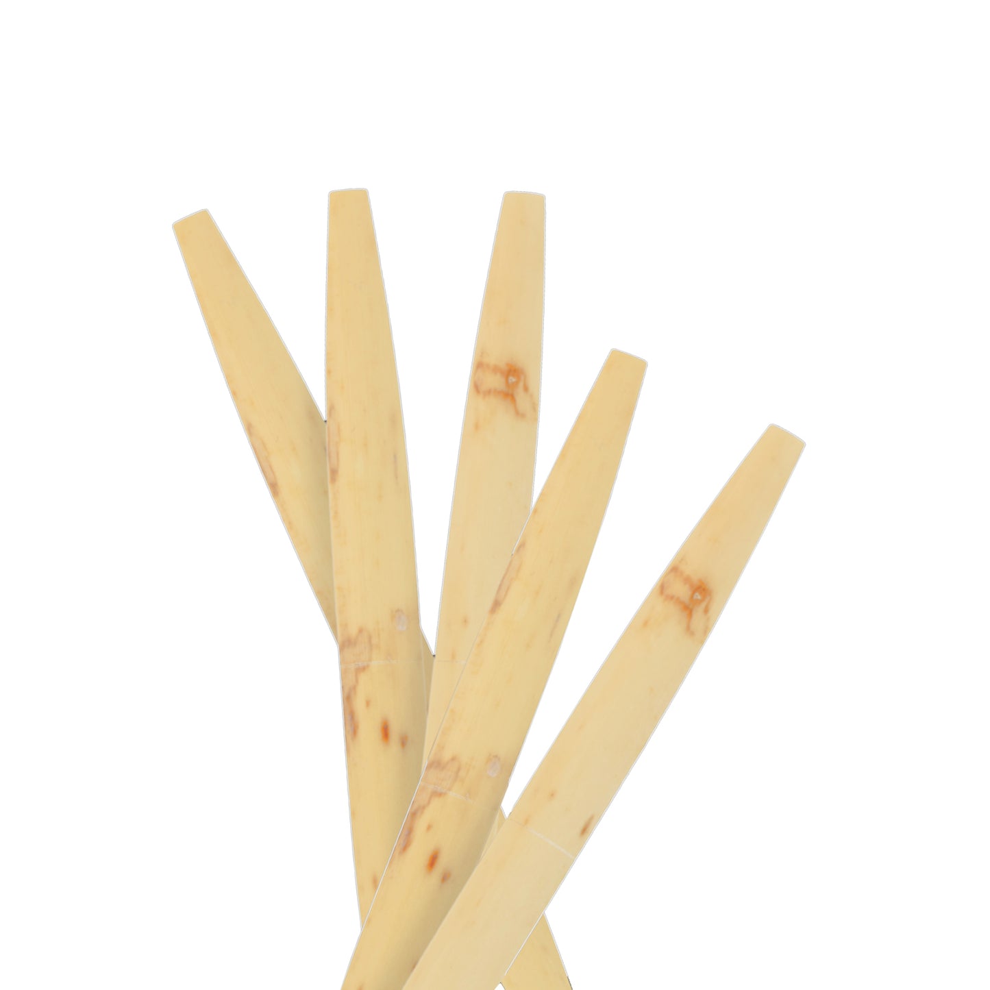 Barton Oboe Cane Bundles (5 Pieces)